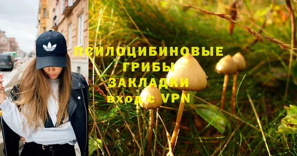 прущая мука Бородино