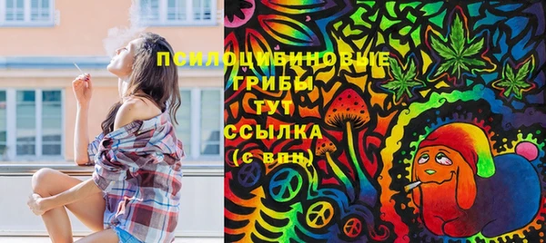 марки lsd Богданович