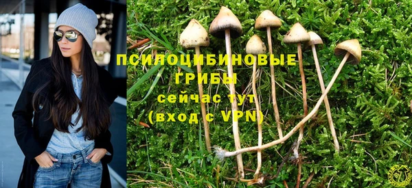 прущая мука Бородино